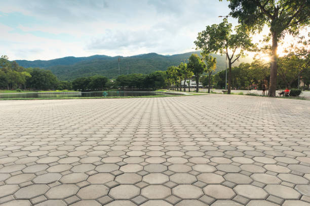 Best Custom Driveway Pavers  in New Tazewell, TN