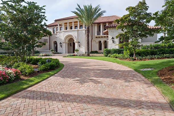 Best Driveway Pavers Near Me  in New Tazewell, TN