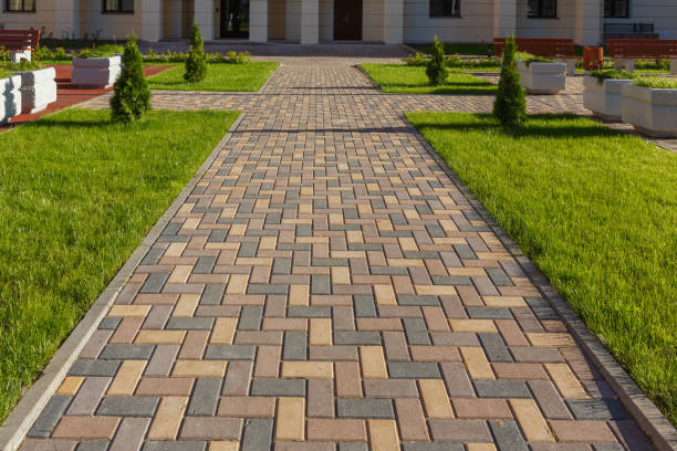 Reasons to Select Us for Your Driveway Paving Requirements in New Tazewell, TN