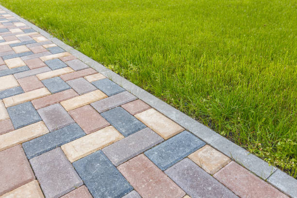 Best Paver Driveway Replacement  in New Tazewell, TN